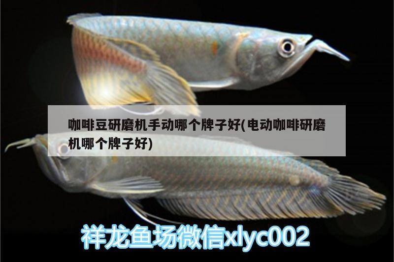 咖啡豆研磨機手動哪個牌子好(電動咖啡研磨機哪個牌子好)