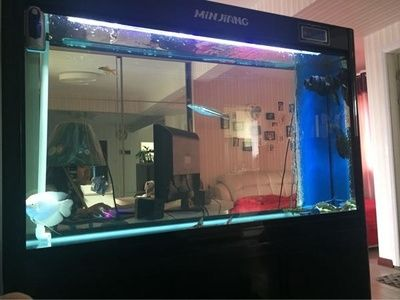 大興魚缸賣魚缸的地方有哪些：關于大興區(qū)賣魚缸的一些地點和商家