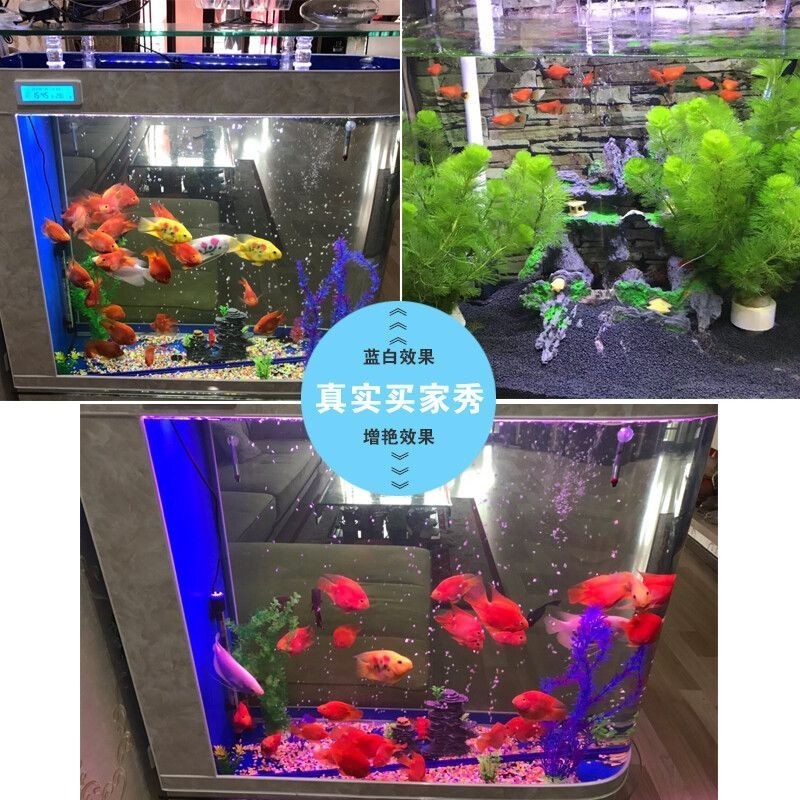 大興魚缸賣魚缸的地方有哪些：關于大興區(qū)賣魚缸的一些地點和商家