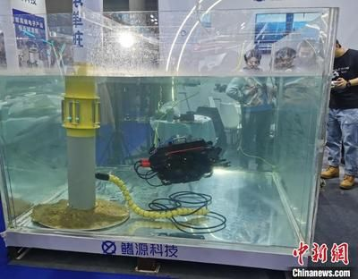 超白魚缸角磕破了還能用嗎：超白魚缸角磕破后的使用安全性取決于多種因素進入