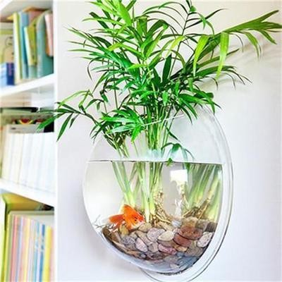 舊魚缸翻新視頻教學全集播放