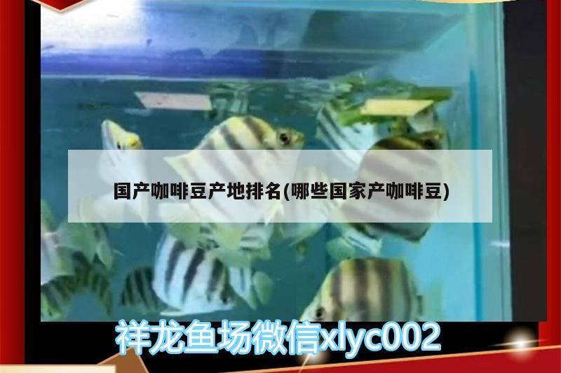 國產(chǎn)咖啡豆產(chǎn)地排名(哪些國家產(chǎn)咖啡豆)