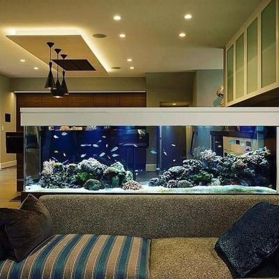搬家搬魚缸有什么講究：搬家搬魚缸需要注意什么？