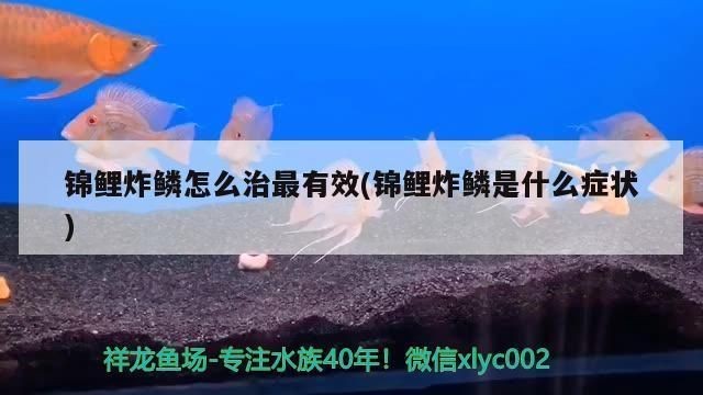 龍魚炸鱗的原因vs祥龍魚場：“龍魚炸鱗的原因”和“祥龍魚場”的預防措施祥龍魚場的養殖技術