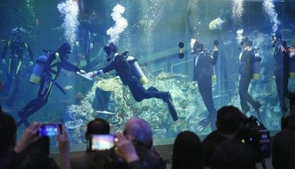 1.6米魚缸多少升水：為了計算1.6米魚缸能裝多少升水魚缸多少升水
