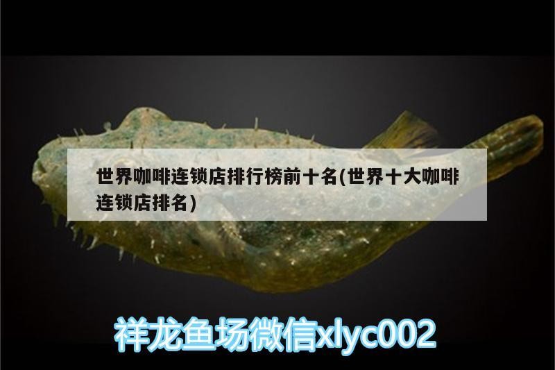 世界咖啡連鎖店排行榜前十名(世界十大咖啡連鎖店排名)