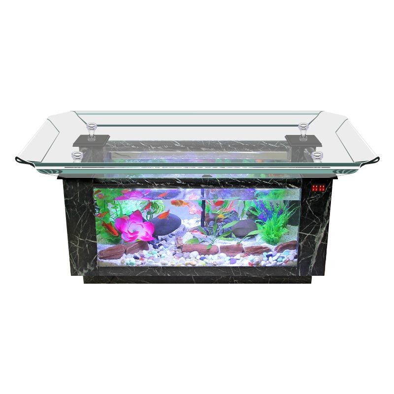 80x80魚缸：80x80魚缸是一個(gè)中等尺寸的魚缸 80x80魚缸：80x80魚缸是一個(gè)中等尺寸的魚缸 魚缸百科 第1張