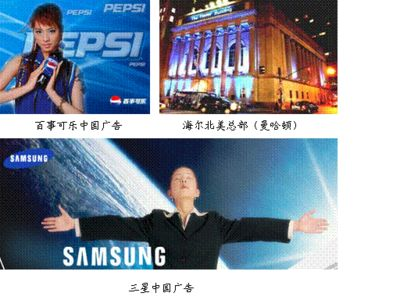 不用的魚缸可以做什么實驗：魚缸改造底濾、閑置魚缸處理