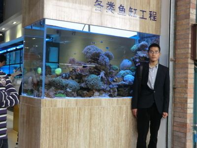 丹東龍魚vs祥龍魚場（丹東龍魚與祥龍魚場的區別）