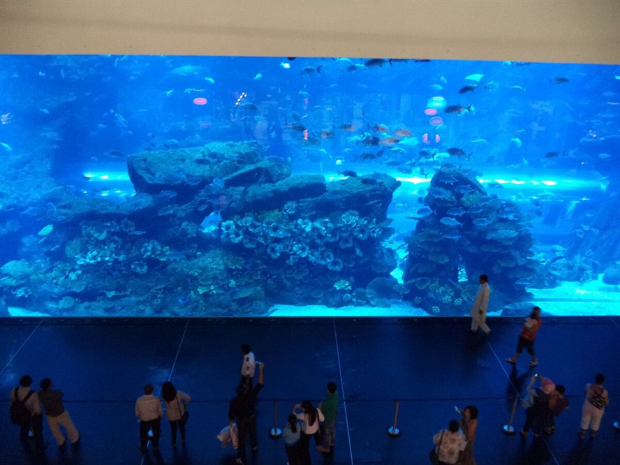 灞橋區水族館vs祥龍魚場（灞橋區水族館與祥龍魚場）