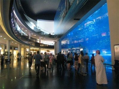 灞橋區水族館vs祥龍魚場（灞橋區水族館與祥龍魚場）