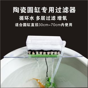 鸚鵡魚和銀龍魚混養(yǎng)怎樣喂食 魚缸清理什么魚好 魚缸百科 魚缸清理什么魚好 魚缸清理什么魚好 魚缸百科