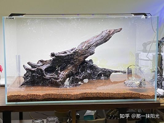 觀賞魚水泵的選擇很重要