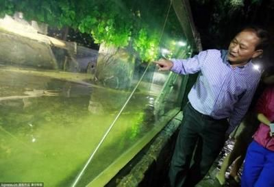 大型魚缸側(cè)面裂了怎么修補(bǔ)：修補(bǔ)大型魚缸側(cè)面裂縫的方法