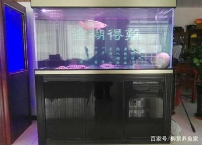 1.5米魚缸慶大霉素的用量：1.5米魚缸慶大霉素用量