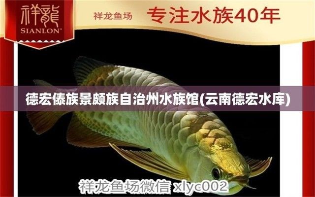 德宏傣族景頗族自治州水族館vs祥龍魚場（云南德宏傣族景頗族自治州水族館位于中國云南省西部） 德宏傣族景頗族自治州水族館vs祥龍魚場（云南德宏傣族景頗族自治州水族館位于中國云南省西部） 全國水族館企業名錄 第3張