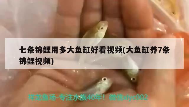 博特曼電器有限公司減壓閥（博特曼減壓閥怎么樣）