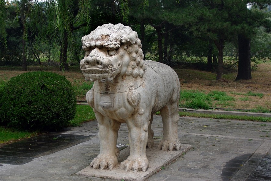 龍魚掉了一片鱗怎么辦（龍魚掉鱗還能長好嗎） 龍魚掉了一片鱗怎么辦（龍魚掉鱗還能長好嗎） 金龍魚百科 第3張