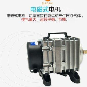 1.2米的魚缸需要多大的氧氣泵：1.2米的魚缸一般推薦使用10瓦（w）的氧氣泵功率 1.2米的魚缸需要多大的氧氣泵：1.2米的魚缸一般推薦使用10瓦（w）的氧氣泵功率 魚缸百科 第2張