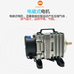 1.2米的魚缸需要多大的氧氣泵：1.2米的魚缸一般推薦使用10瓦（w）的氧氣泵功率 1.2米的魚缸需要多大的氧氣泵：1.2米的魚缸一般推薦使用10瓦（w）的氧氣泵功率 魚缸百科 第3張