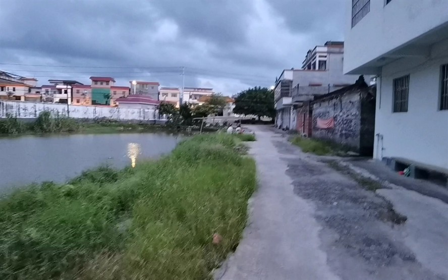 阿壩藏族羌族自治州龍魚vs祥龍魚場（“阿壩藏族羌族自治州龍魚”的具體信息分析祥龍魚批發）
