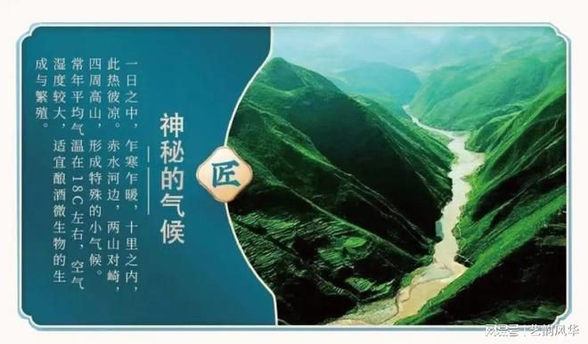 阿壩藏族羌族自治州龍魚vs祥龍魚場（“阿壩藏族羌族自治州龍魚”的具體信息分析祥龍魚批發）