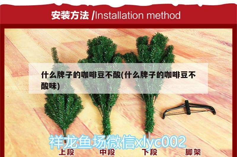 魚缸過濾器選購指南:自制魚缸過濾器魚缸上置過濾器對于養(yǎng)魚愛好者的必備知識 什么牌子的咖啡豆不酸(什么牌子的咖啡豆不酸味) 馬來西亞咖啡 什么牌子的咖啡豆不酸(什么牌子的咖啡豆不酸味) 什么牌子的咖啡豆不酸(什么牌子的咖啡豆不酸味) 馬來西亞咖啡