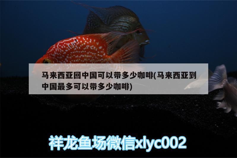 馬來西亞回中國可以帶多少咖啡(馬來西亞到中國最多可以帶多少咖啡)