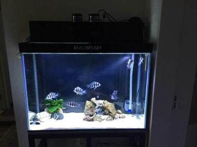 百因美魚缸改造：百因美魚缸改造方法