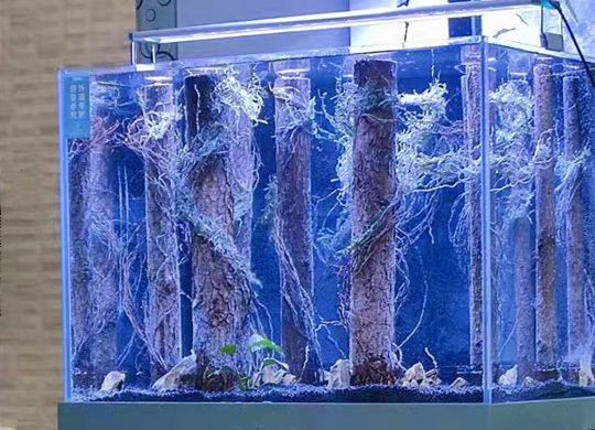 超小魚缸造景diy：diy超小魚缸造景diy魚缸造景需要注意什么材料