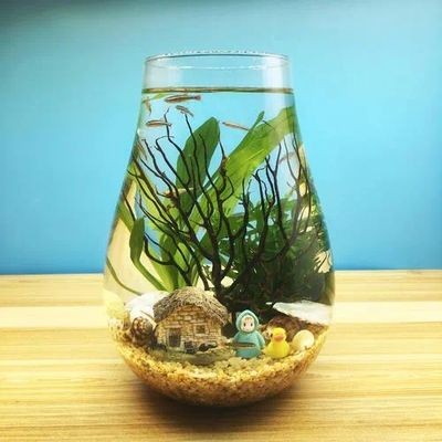 超小魚缸造景diy：diy超小魚缸造景diy魚缸造景需要注意什么材料