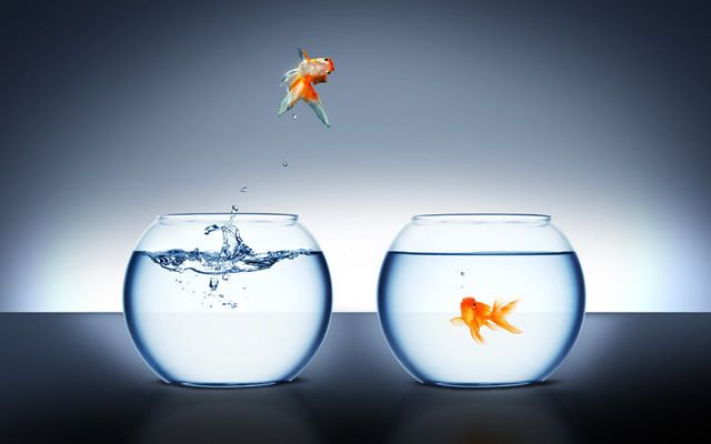 大魚缸怎么清理消毒水：大魚缸的清理和消毒的三種方法，在使用時要注意以下幾點