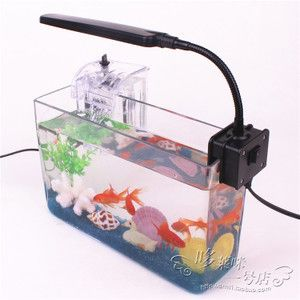 1號水族魚缸價格及圖片：1號水族魚缸價格及圖片信息 1號水族魚缸價格及圖片：1號水族魚缸價格及圖片信息 魚缸百科 第1張