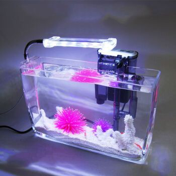 1號水族魚缸價格及圖片：1號水族魚缸價格及圖片信息 1號水族魚缸價格及圖片：1號水族魚缸價格及圖片信息 魚缸百科 第2張
