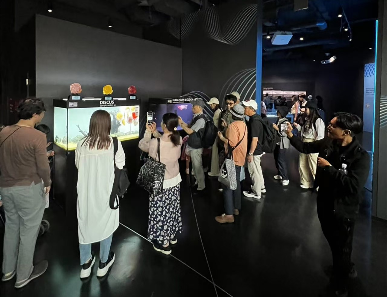 微信圖片_20250604165815.jpg 祥龍魚場受邀代表馬來西亞參加2025年大阪世博會