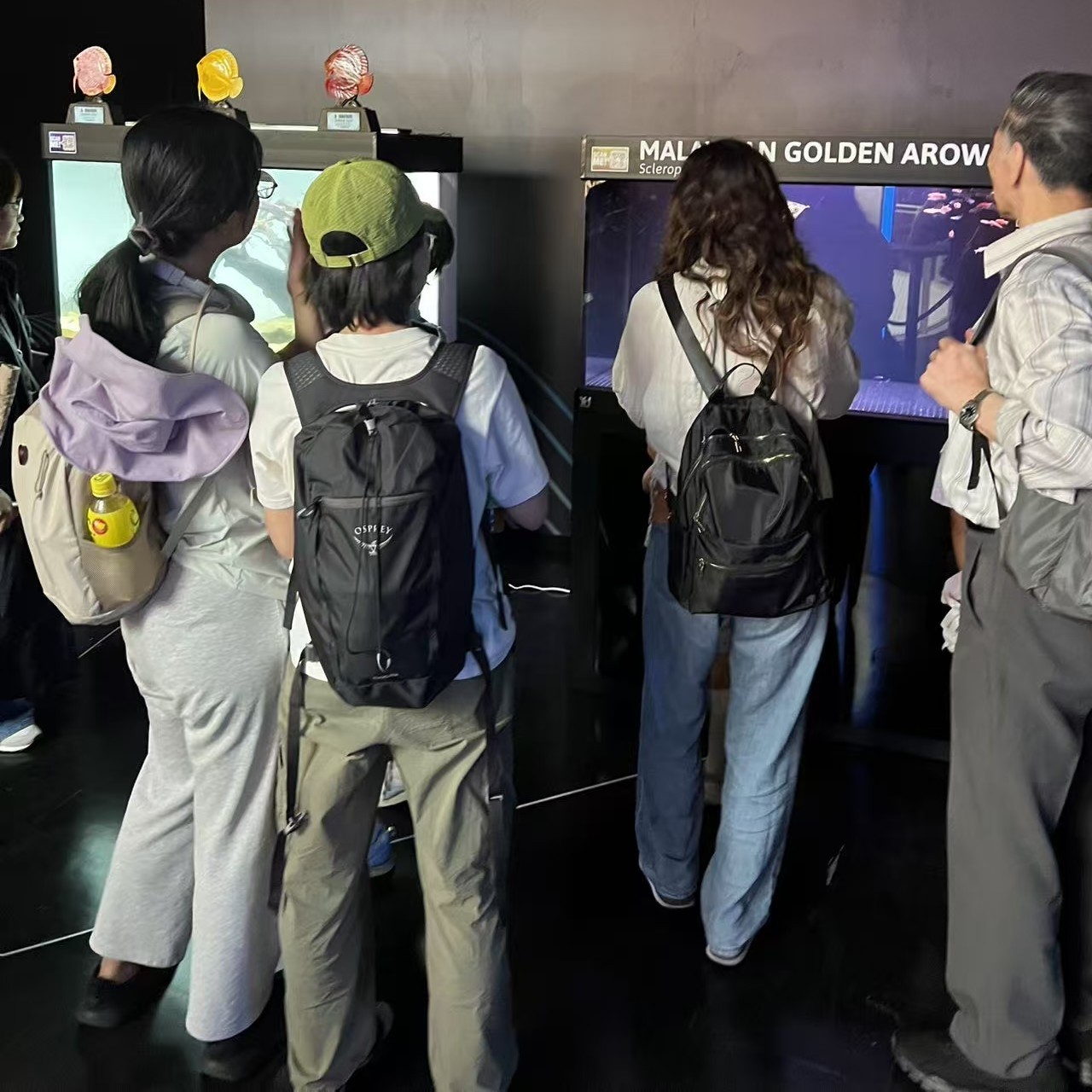 微信圖片_20250604165921.jpg 祥龍魚場受邀代表馬來西亞參加2025年大阪世博會