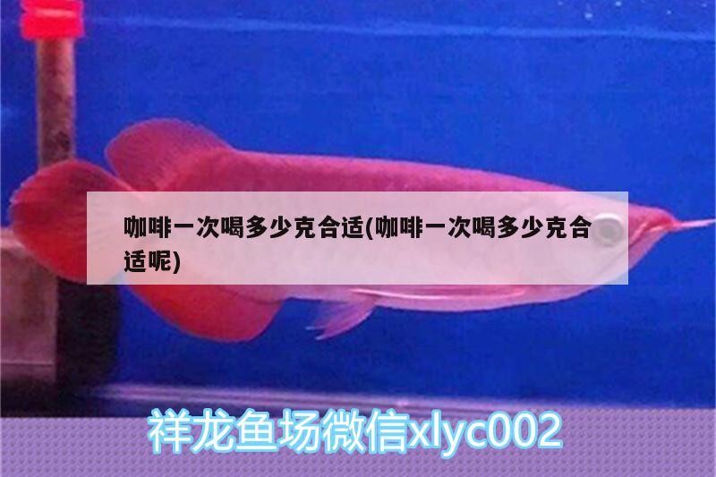 咖啡一次喝多少克合適(咖啡一次喝多少克合適呢) 咖啡一次喝多少克合適(咖啡一次喝多少克合適呢) 馬來西亞咖啡