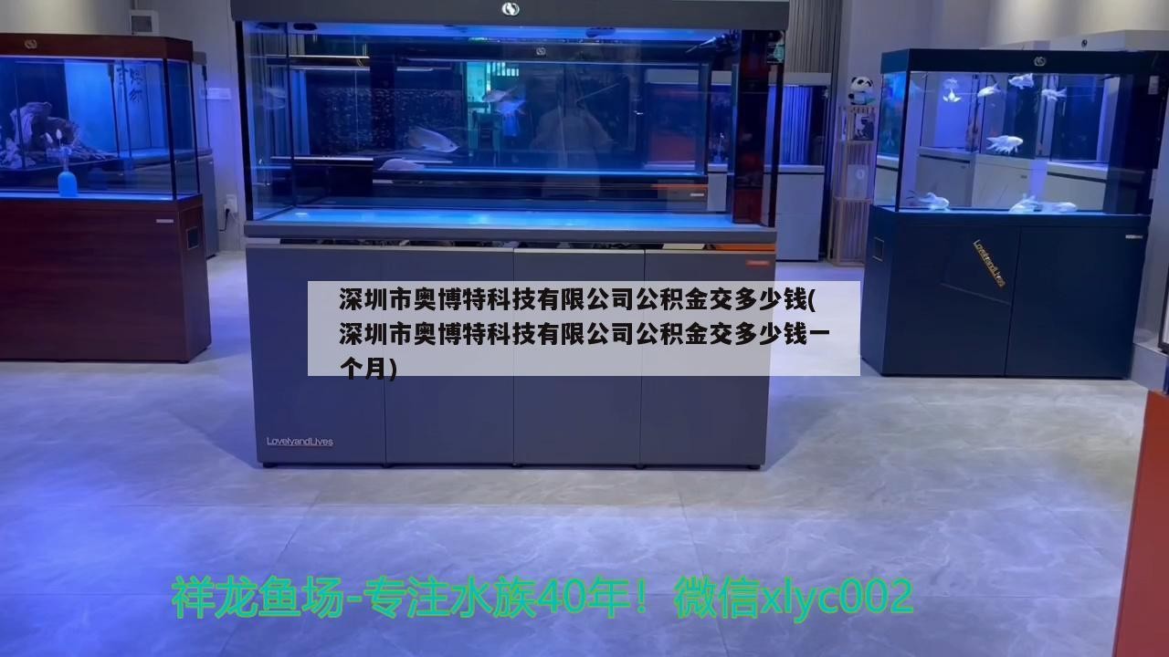 甘南龍魚有哪些品種？，甘南龍魚品種對照表，你快速區分特征和價格等級和價格等級