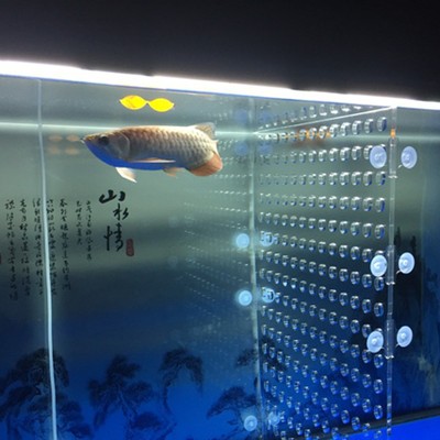 長沙市開福區愛琴海水族館(長沙市開福區愛琴海水族館電話) 全國水族館企業名錄 第2張 長沙市開福區愛琴海水族館(長沙市開福區愛琴海水族館電話) 長沙市開福區愛琴海水族館(長沙市開福區愛琴海水族館電話) 全國水族館企業名錄 第2張
