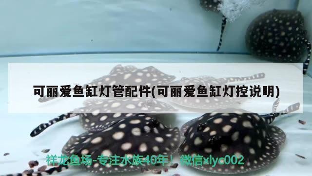 創寧變頻水泵cn8300衰減（創寧變頻水泵衰減原因）