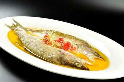 梅州龍魚vs祥龍魚場(探討梅州龍魚與祥龍魚場之間的差異之前,我們需要明確兩者所指的內容) 全國水族館企業名錄 第3張 梅州龍魚vs祥龍魚場(探討梅州龍魚與祥龍魚場之間的差異之前,我們需要明確兩者所指的內容) 梅州龍魚vs祥龍魚場(探討梅州龍魚與祥龍魚場之間的差異之前,我們需要明確兩者所指的內容) 全國水族館企業名錄 第3張