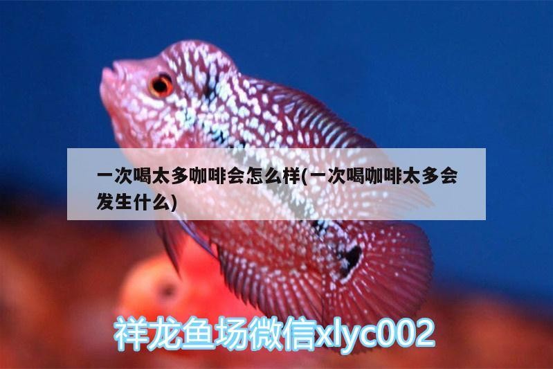 一次喝太多咖啡會怎么樣(一次喝咖啡太多會發生什么) 一次喝太多咖啡會怎么樣(一次喝咖啡太多會發生什么) 馬來西亞咖啡
