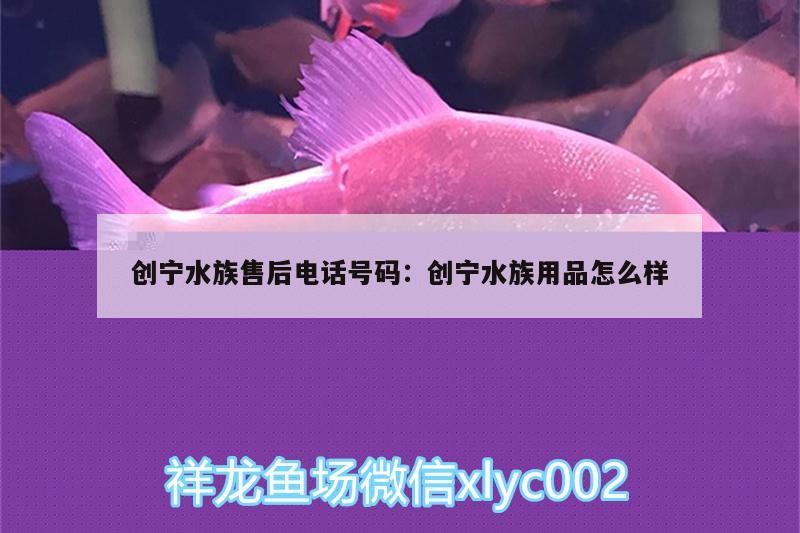 創寧水族售后電話號碼:創寧水族用品怎么樣