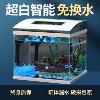 博特拉大學(xué)一年幾個學(xué)期（博特拉大學(xué)入學(xué)時間） 博特拉大學(xué)一年幾個學(xué)期（博特拉大學(xué)入學(xué)時間） 博特水族