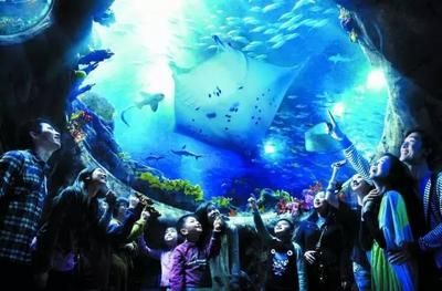 欽州水族館vs祥龍魚場（探討欽州水族館與祥龍魚場之間的差異之前需要了解這兩者的背景信息）