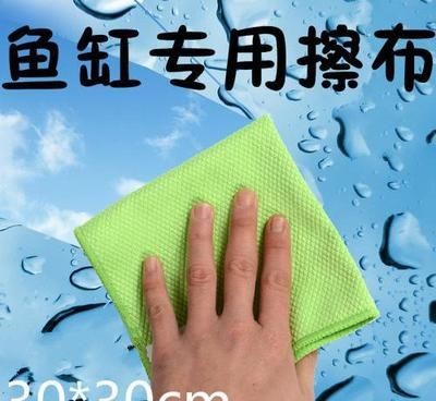 玻璃擦可以擦魚缸嗎：魚缸清潔工具玻璃擦的使用方法
