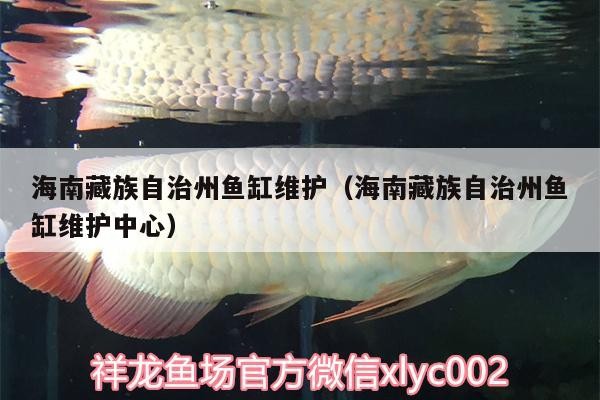海南藏族自治州魚缸維護(hù)（海南藏族自治州魚缸維護(hù)中心）