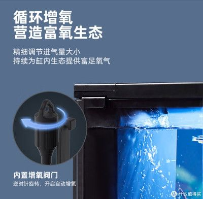 100.50.50的魚缸用多大的水泵：100,50,50的魚缸應選擇多大的水泵
