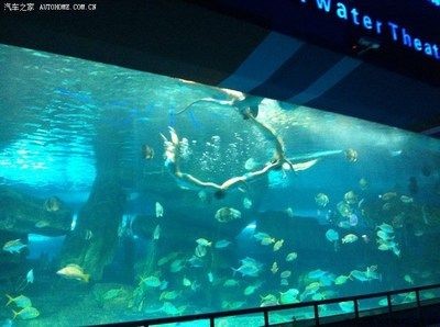 濟南水族館vs祥龍魚場（探討濟南水族館與祥龍魚場之間的差異，我們需要明確兩者的基本信息）