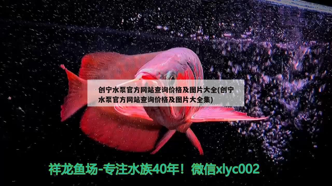創寧水泵官方網站查詢價格及圖片大全(創寧水泵官方網站查詢價格及圖片大全集)